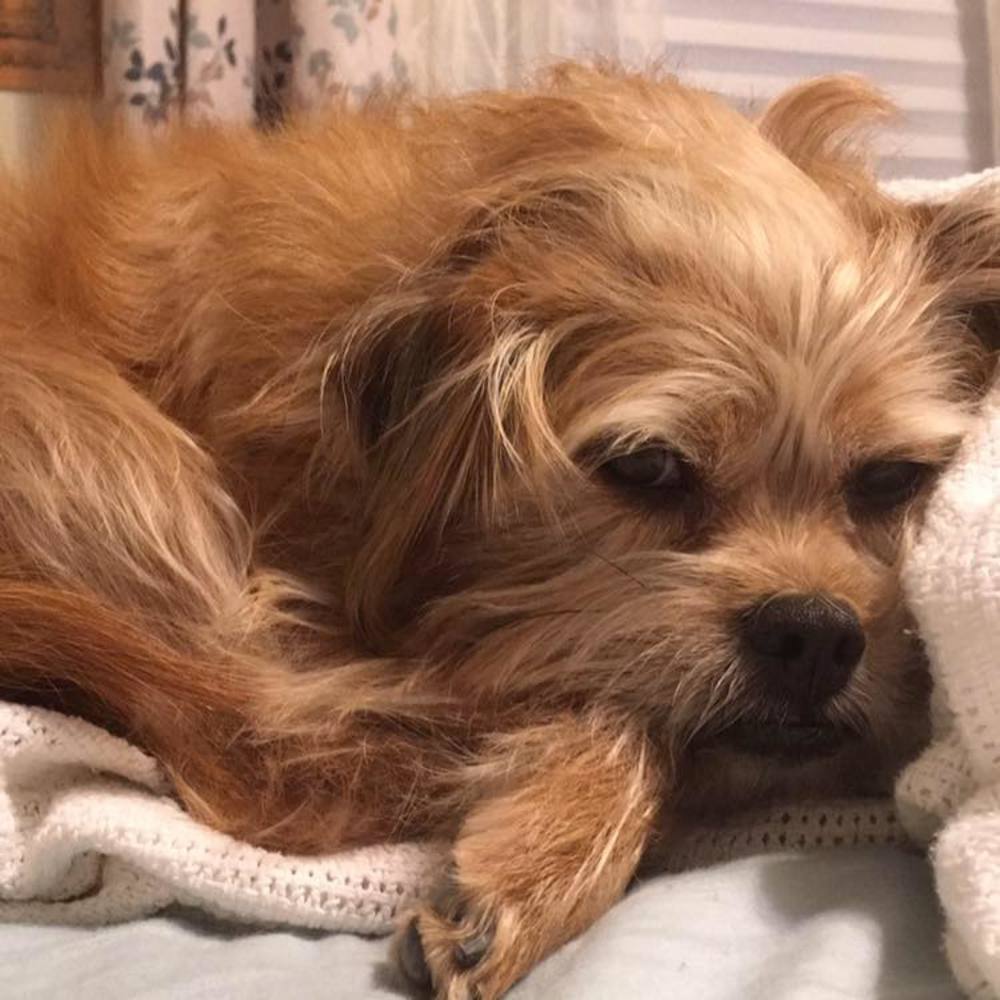 Meet your Posher, Loryn